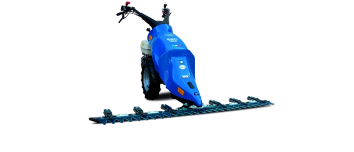 BCS Motormäher